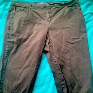 💚3/$25 20W short Gloria Vanderbilt Amanda brown jeans.